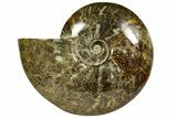Polished, Agatized Ammonite (Cleoniceras) - Madagascar #145801-1